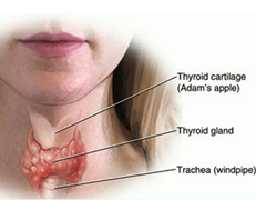 Thyroid Abnormalities
